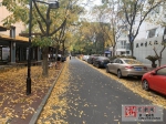 金色满街！杭州主城区也能看到这么美的秋景 - 林业厅