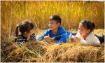 稻田里玩耍的孩子们。供图 - 浙江新闻网