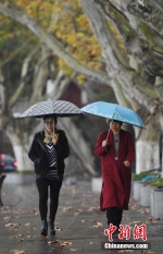 11月18日，两名市民撑伞在浙江省杭州市的西湖景区漫步。受寒潮天气影响，杭州当天气温骤降约10摄氏度。中新社记者 王刚 摄 - 浙江新闻网