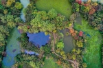 色彩斑斓 这一季的杭州西溪美得不像话！ - 林业厅