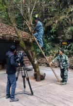 中央电视台《地理·中国》摄制组到九龙山拍摄专题纪录片 - 林业厅