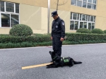 崔震正在训练警犬。（资料图）张斌摄 - 浙江新闻网