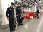 民警携警犬下站巡逻。（资料图）张斌摄 - 浙江新闻网
