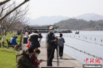 图为市民游客在西湖边游玩 王伟臣 摄 - 浙江新闻网