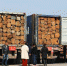 海外“集采”的木材运抵东阳 东阳宣传部提供 - 浙江新闻网
