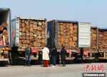 海外“集采”的木材运抵东阳 东阳宣传部提供 - 浙江新闻网