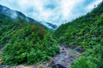 打造“苍南样板”！苍南县列入全省首批自然保护地整合优化试点 - 林业厅