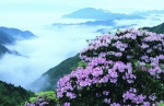天台山美景。天台山旅游集团供图 - 浙江新闻网