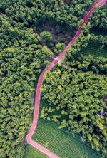 湖州今年将新增50公里绿道 - 林业厅