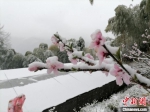 杭州临安山区在今年3月末出现降雪。　临安区委宣传部供图 - 浙江新闻网
