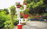 “水管盆栽”引围观 海宁这位水电工打造的花园不一般 - 林业厅
