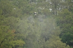 淳安首次采用无人机遏制“不冒烟的森林火灾” - 林业厅
