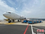 满载一次性防护口罩的航班在温州龙湾机场整装待发。朱斌供图 - 浙江新闻网