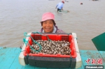 渔民展示“战利品”。　吴立高 摄 - 浙江新闻网