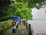 浙江杭州迎来降雨。　张煜欢　摄 - 浙江新闻网