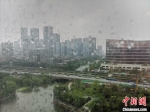 午后杭州迎来短时雷阵雨。　张煜欢　摄 - 浙江新闻网