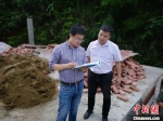 李磊（左）在从江县加帮乡壮大村查看集体项目推进情况。　受访者本人 供图 - 浙江网