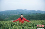 李晓军和他的茶园。受访者本人供图 - 浙江新闻网