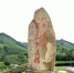 黄杜村茶园内的石碑。　施紫楠　摄 - 浙江新闻网