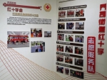 全省红十字系统代表考察余杭区红十字志愿服务工作 - 红十字会