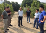 省林业厅领导赴湖州调研现代国有林场和森林公园建设 - 林业厅