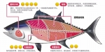 一两腮帮子肉售价3800元 这种鱼为什么这么贵？ - Qz828.Com