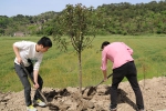 三门县农业林业局团委组织开展为海岛植绿活动 - 林业厅