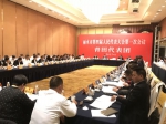 丽水市第四届人民代表大会第一次会议青田代表团 - 浙江新闻网