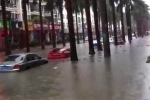 雨水袭来北海局地现大暴雨 未来三天桂东桂南雨势强 - 气象