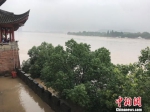 持续暴雨，兰江水位猛涨 奚金燕 摄 - 浙江新闻网