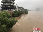 持续暴雨，兰江水位猛涨 奚金燕 摄 - 浙江新闻网