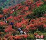 丽水山林 丽水宣传部提供 摄 - 浙江新闻网