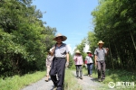 湖州：砍除林间杂草 育林护林 - 互联星空