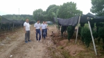 永康市农林局到浙江伊思滕红豆杉生物有限公司永康分公司调研 - 林业厅