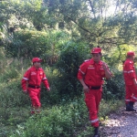 鹿城区实现国庆中秋双节期间森林消防零火情 - 林业厅