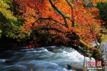 松坪沟河谷小景。黄强 摄 - 浙江新闻网