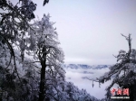 四川二郎山喇叭河景区雪景迷人 野生鹿雪中游玩 - 浙江新闻网