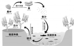 湖州桑基鱼塘获批全球农业文化遗产（图） - 浙江新闻网