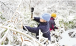 1月29日，桐庐县供电公司桐君供电所电力抢修人员徒步一个半小时进山抢修电力线路。 拍友 徐军勇 摄 - 浙江新闻网