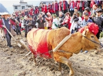 图1为衢州柯城九华乡妙源村举行九华立春祭，村民延续隆重而古老的“立春祭”仪式，祭春神、敬土地、鞭春牛，开启江南第一耕，祈愿今年风调雨顺、五谷丰登。 - 浙江新闻网