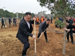 节后首个工作日 温岭掀起植树添绿热潮 - 林业厅