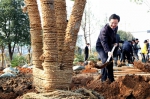 温州市四套班子领导带头植树 - 林业厅