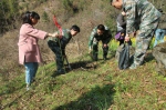 临安区林业干部做好义务植树技术服务工作 - 林业厅