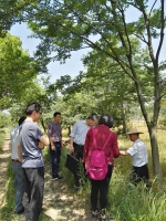 省林业有害生物防治检疫局到长兴检查指导美国白蛾预防监测工作 - 林业厅