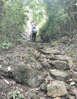 探访凉亭坑古道：阅尽沧桑风景依旧 - 林业厅