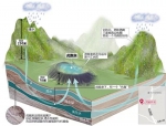 炎炎夏日 杭州本地人都爱拎桶去这5个地方！四五十人抢着排队 - 杭州网