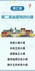 大动作！浙江新命名5个省级特色小镇，创建对象14个警告7个降格，培育对象6个警告6个淘汰 - 杭州网