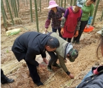 长兴县林场加快推进林下经济产业 - 林业厅