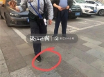 杭州价值万元的小狗突然窜到车轮下被撞死！主人当时没牵狗绳…… - 杭州网