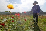 浙江有位“花痴“把废弃矿山变成花园 还年入百万 - 林业厅